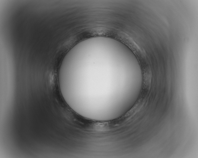 X0000101450126200807211320