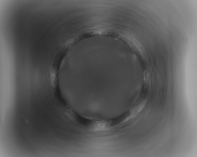 X0000101450127200807211320