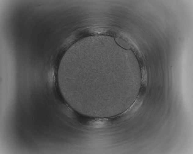 X0000101450128200807211320