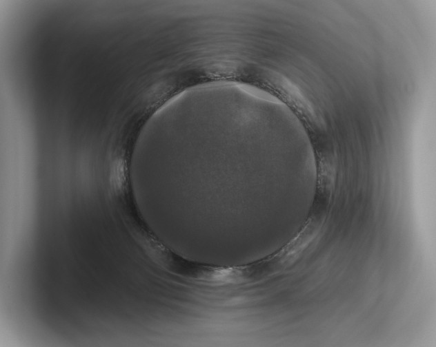 X0000101450130200807211320