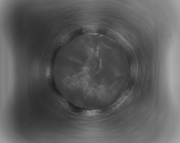 X0000101450134200807211320