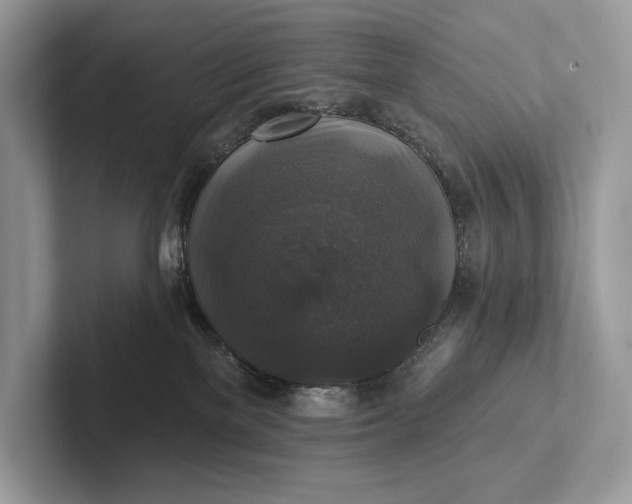 X0000101450137200807211320