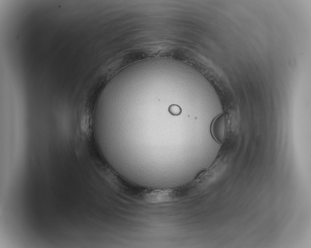 X0000101450138200807211320