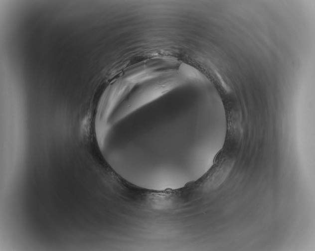 X0000101450139200807211320