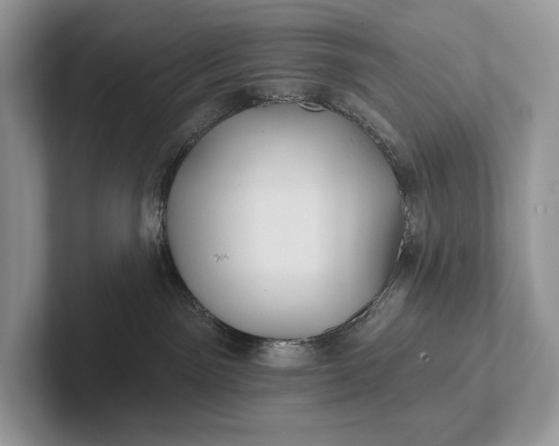 X0000101450141200807211320