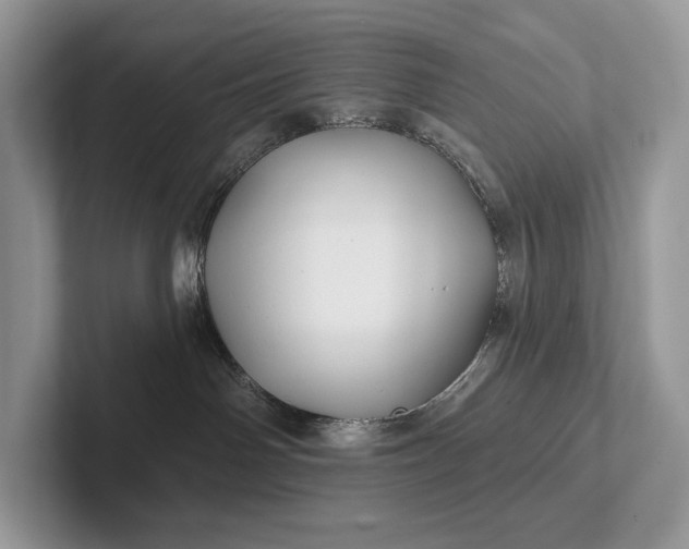 X0000101450142200807211320