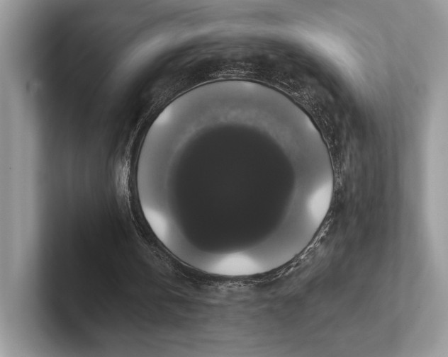 X0000101450146200807211320