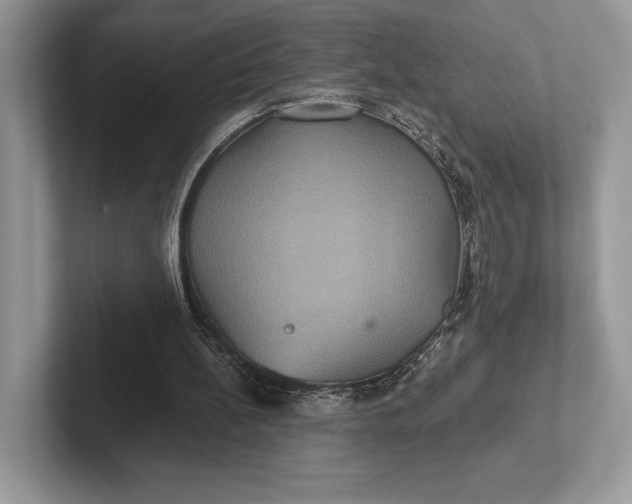 X0000101450148200807211320