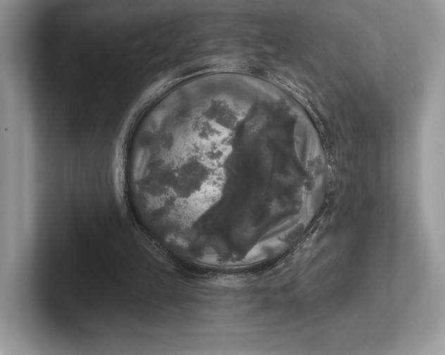 X0000101450149200807211320