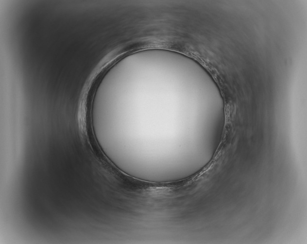 X0000101450150200807211320