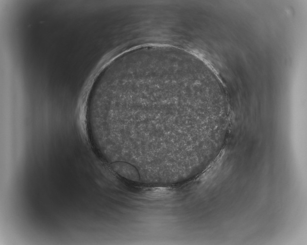 X0000101450151200807211320