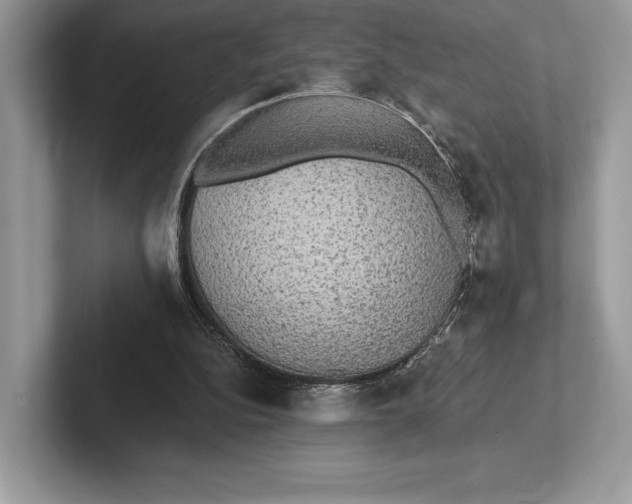 X0000101450152200807211320