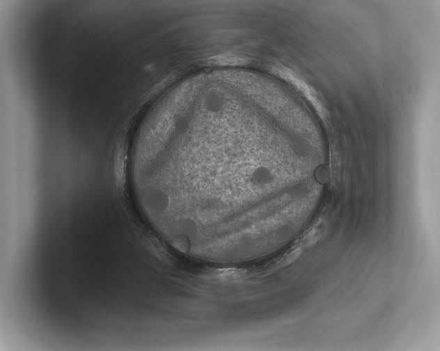 X0000101450153200807211320