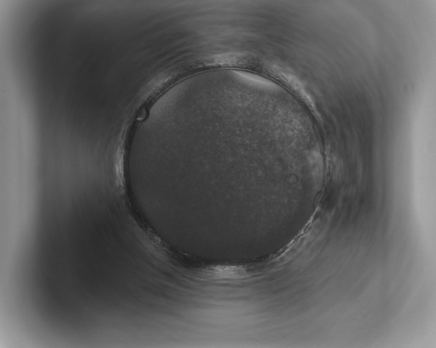 X0000101450154200807211320