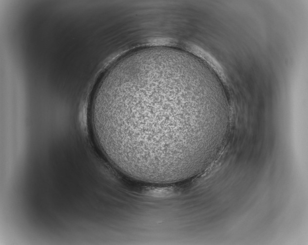 X0000101450155200807211320