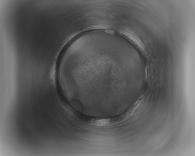 X0000101450156200807211320