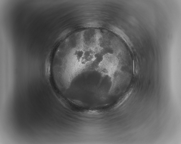 X0000101450157200807211320