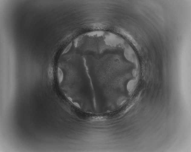 X0000101450161200807211320