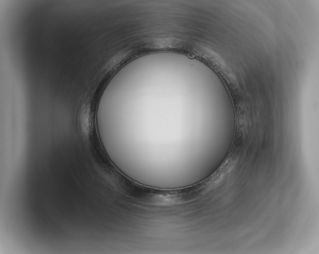 X0000101450164200807211320