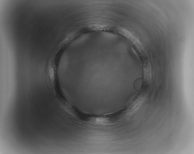 X0000101450165200807211320