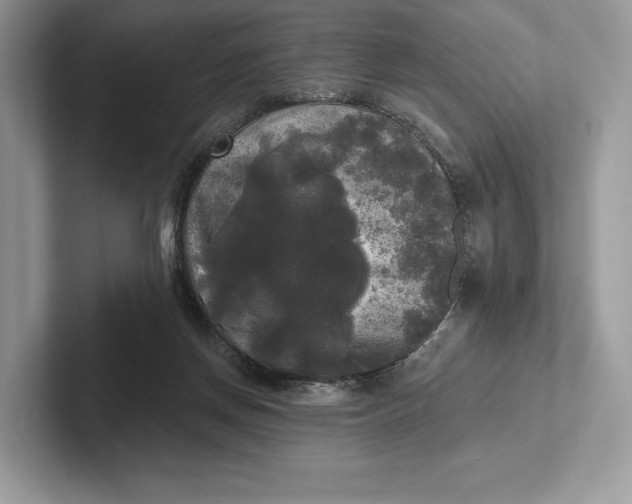 X0000101450166200807211320