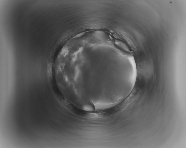 X0000101450167200807211320