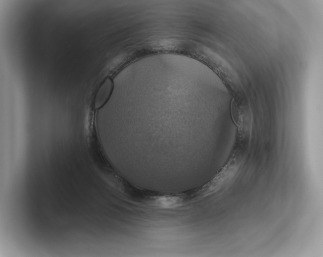 X0000101450168200807211320