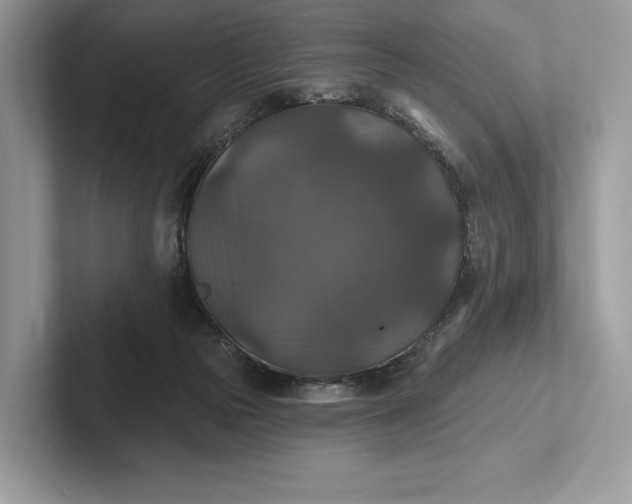 X0000101450169200807211320