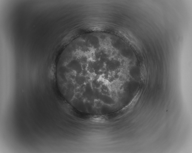 X0000101450175200807211320