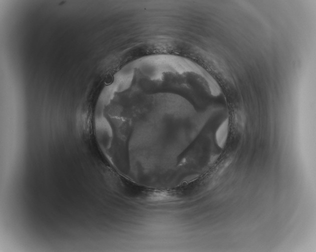 X0000101450177200807211320