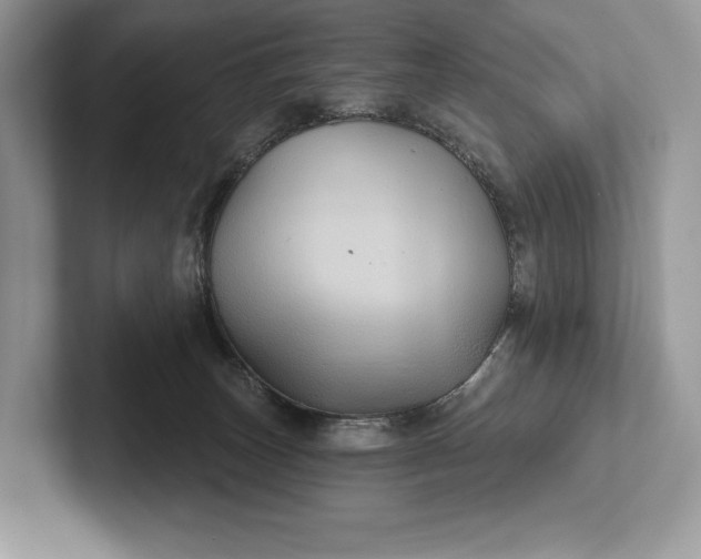 X0000101450179200807211320