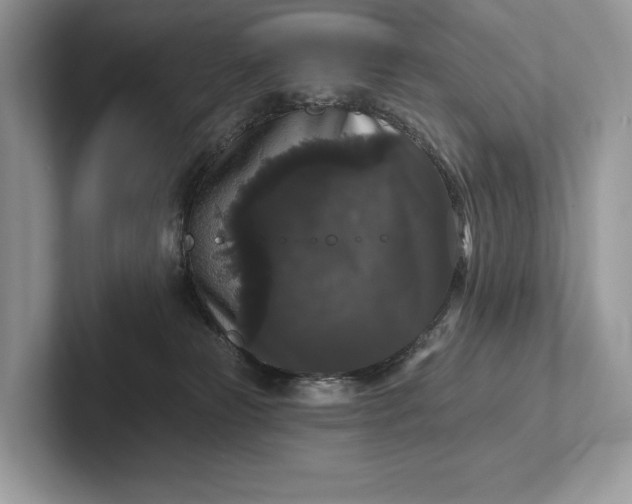 X0000101450181200807211320