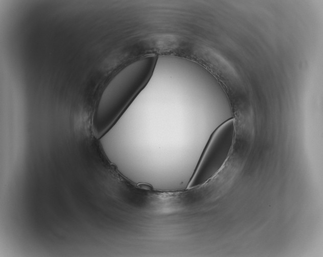 X0000101450184200807211320