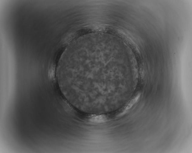 X0000101450185200807211320