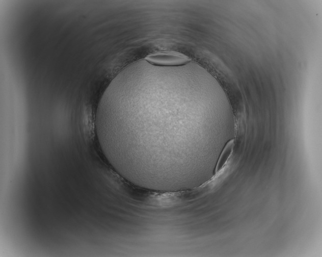 X0000101450186200807211320