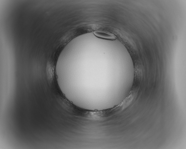 X0000101450188200807211320