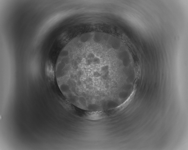 X0000101450191200807211320