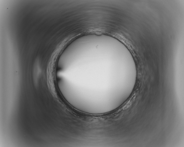 X0000101450193200807211320