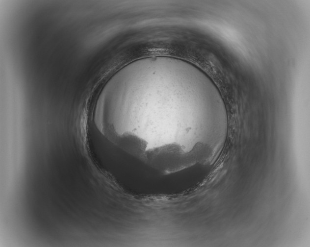 X0000101450194200807211320