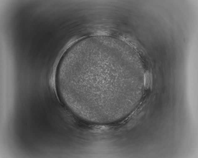 X0000101450195200807211320