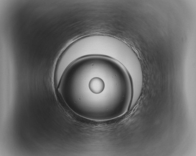 X0000101450196200807211320