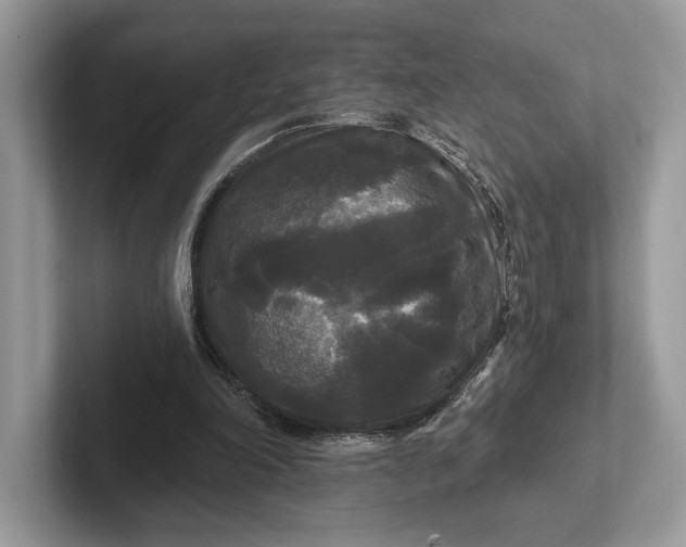 X0000101450198200807211320