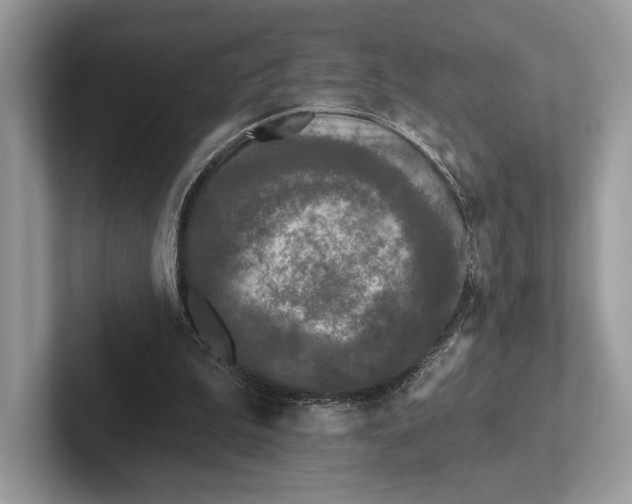 X0000101450199200807211320