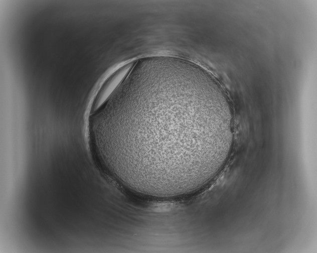 X0000101450200200807211319