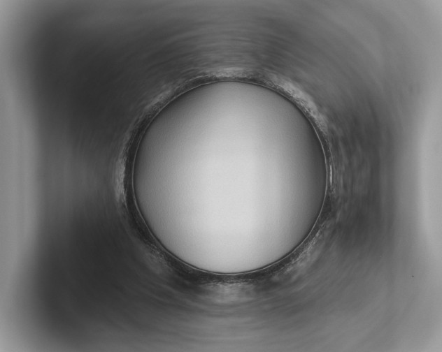 X0000101450201200807211319