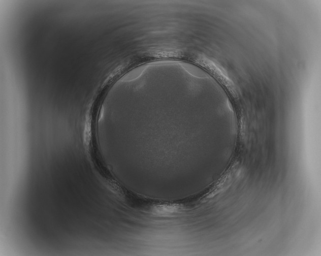 X0000101450202200807211319