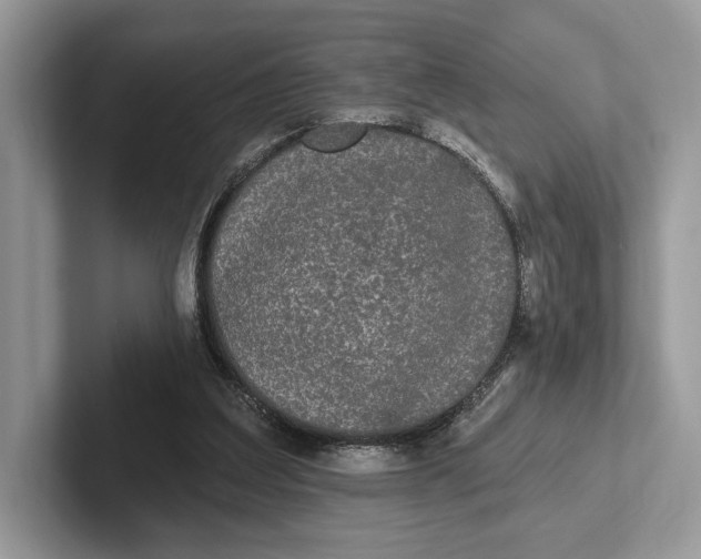 X0000101450203200807211319