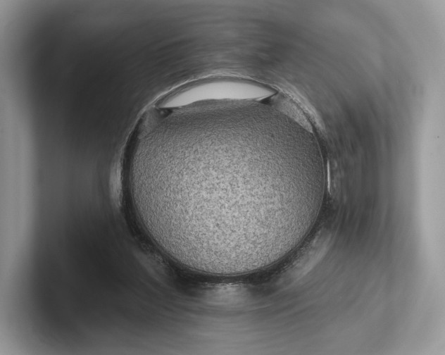 X0000101450204200807211319