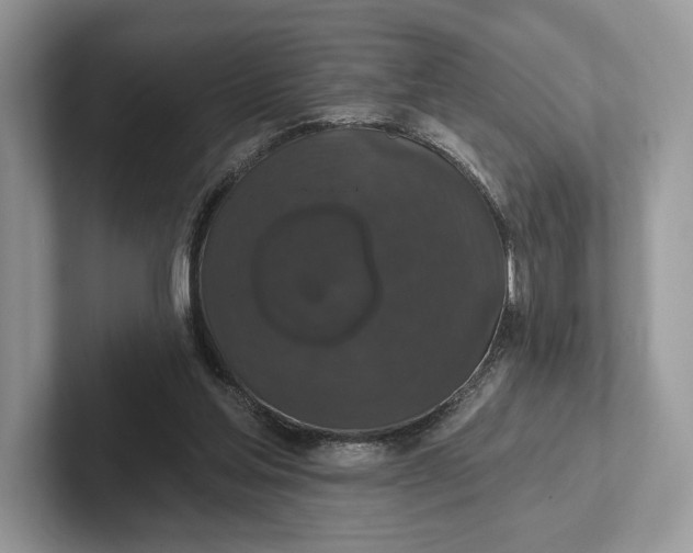 X0000101450205200807211319