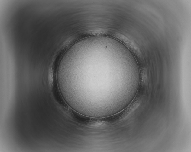 X0000101450206200807211319